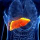 ¿Cuáles son las causas de hepatitis crónica?