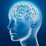 ¿Qué es la enfermedad de Huntington?