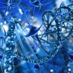 Respuestas patológicas básicas