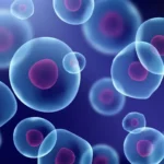 Las células están expuestas cambios constantes.