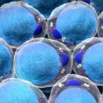 Las células son entidades dinámicas