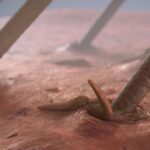 ¿Qué es la foliculitis por Demodex?