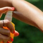 ¿Cómo prevenir la picadura de artrópodos?