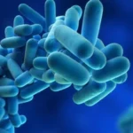 Enfermedad por Legionella