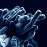 Tratamiento de la tuberculosis extrapulmonar