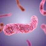 Enfermedad pulmonar causada por micobacterias no tuberculosas