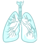 TRASTORNOS DEL CONTROL DE LA VENTILACIÓN