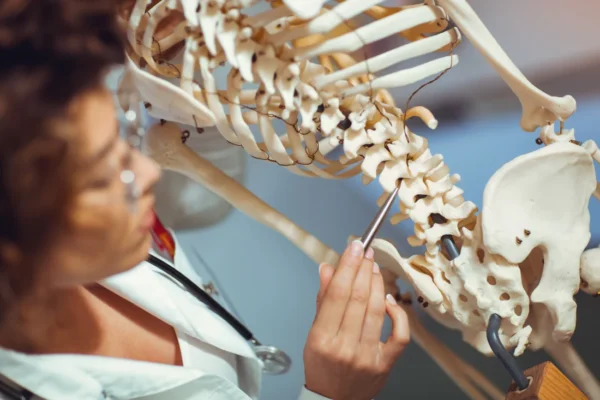 Estudio de la Anatomía Humana