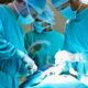Revascularización en pacientes con angina de pecho crónica estable