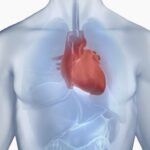 La miocardiopatía hipertrófica se hereda