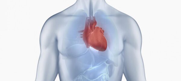 La miocardiopatía hipertrófica se hereda