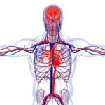 Diferencia entre shock obstructivo y shock distributivo