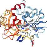 deficiencia del factor XI de la coagulación