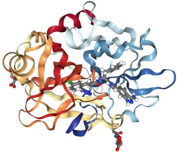 deficiencia del factor XI de la coagulación