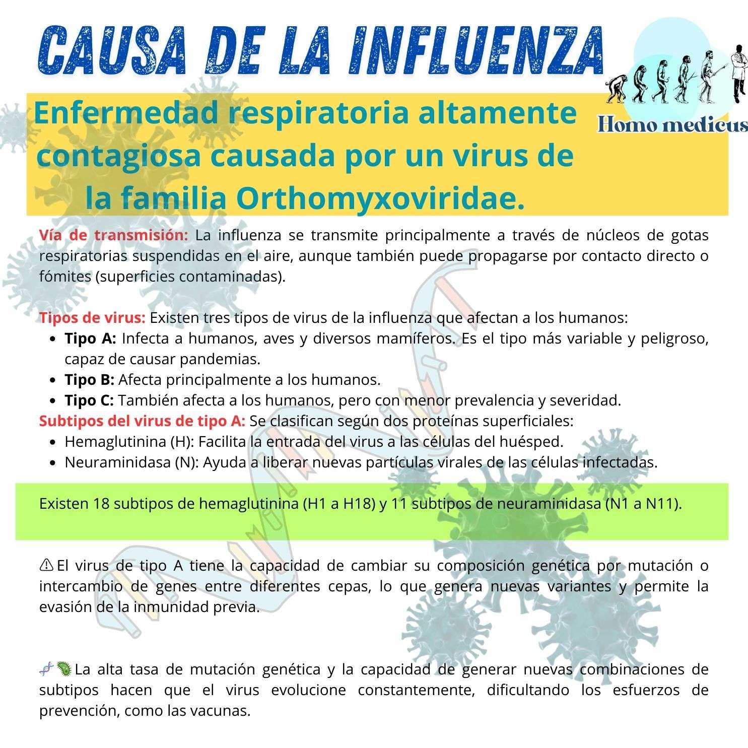 Causa de la influenza