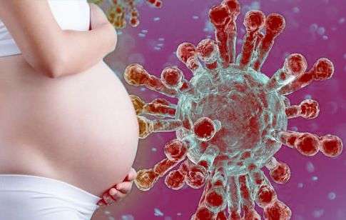 Embarazadas portadoras de virus de hepatitis B y C