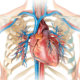 ¿Qué es la arteritis de Takayasu?