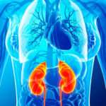 Enfermedades multisistémicas con compromiso renal variable.