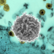 ¿Qué es la mielopatía por infección del virus de la leucemia de células T humanas?