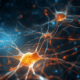 Enfermedades degenerativas de las neuronas motoras