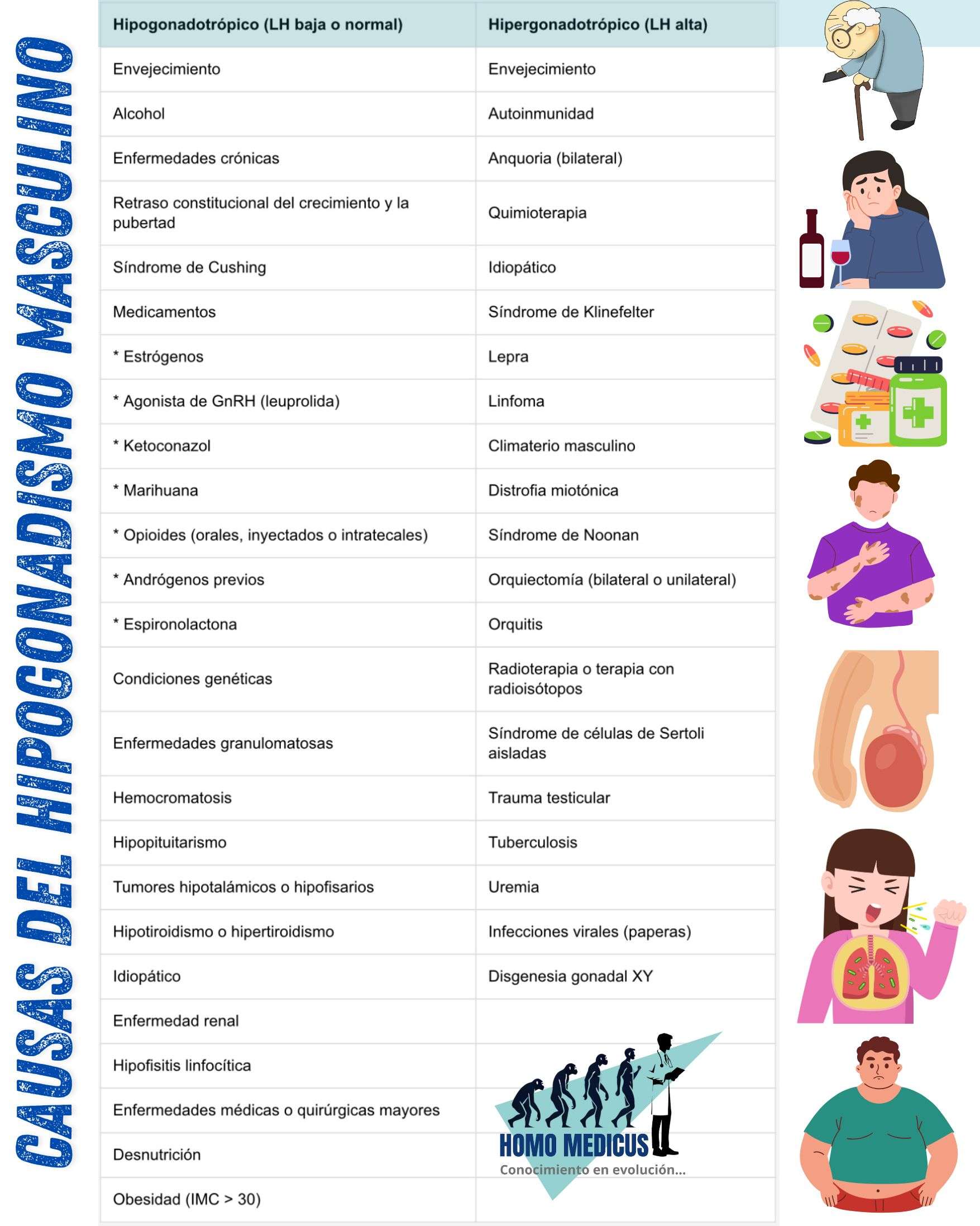 🎴TARJETA DE REPASO: CAUSAS DE HIPOGONADISMO MASCULINO