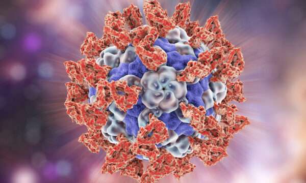 Infección por parechovirus humano