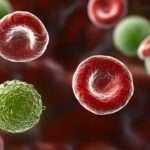 Bacteriemia estafilocócica