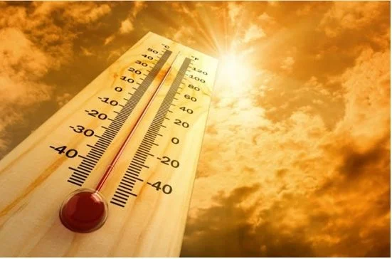 Trastornos debido al calor