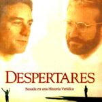 Despertares