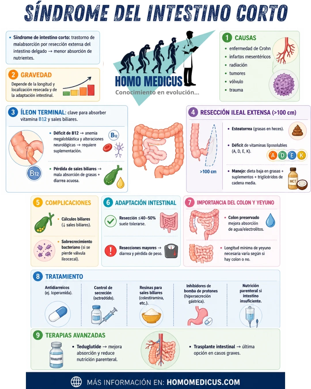 SÍNDROME DEL INTESTINO CORTO