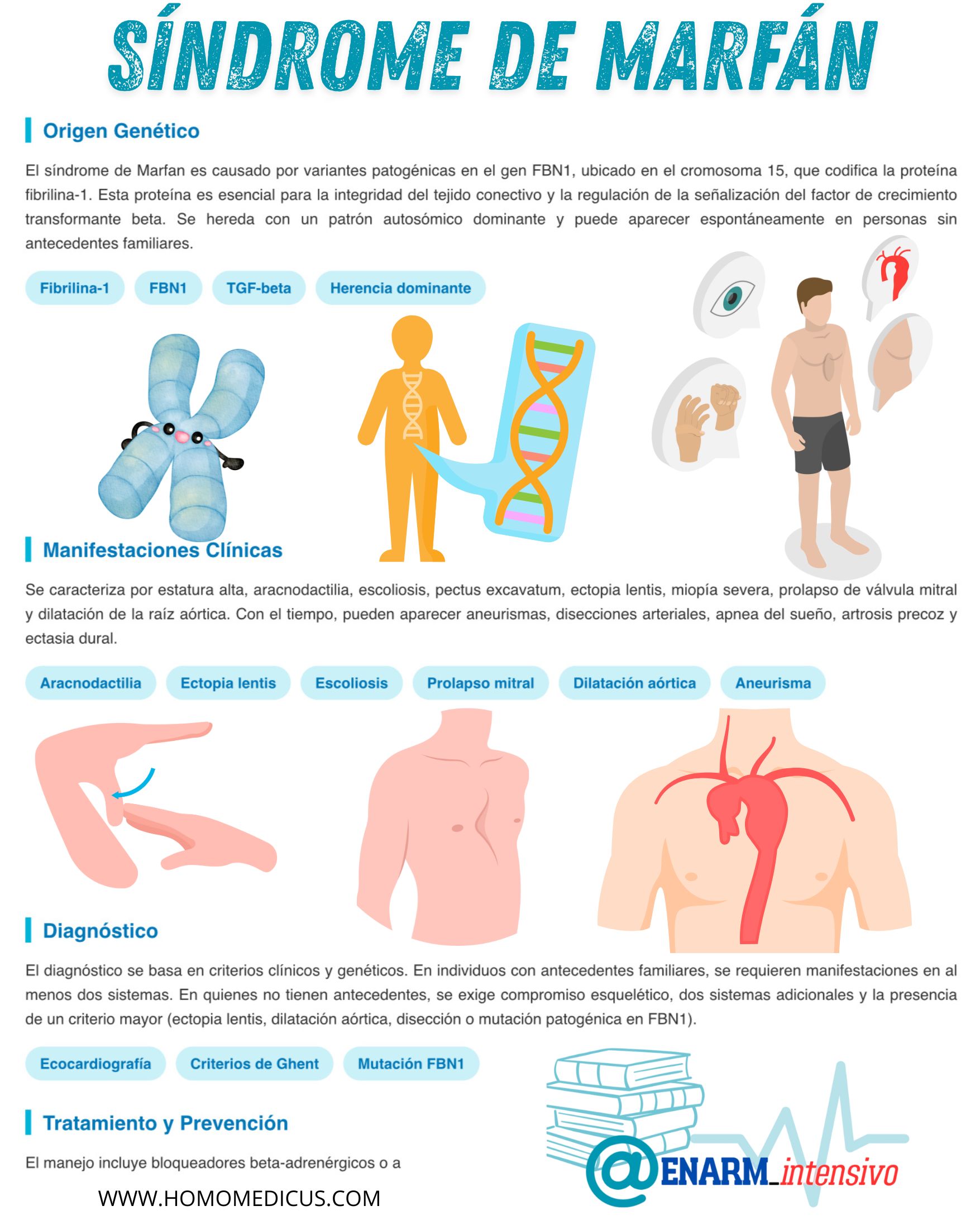 🎴TARJETA DE REPASO: SÍNDROME DE MARFAN
