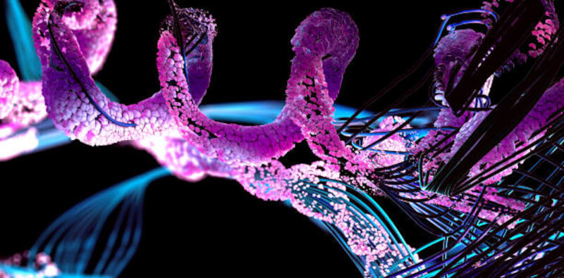 Estructura de las proteínas