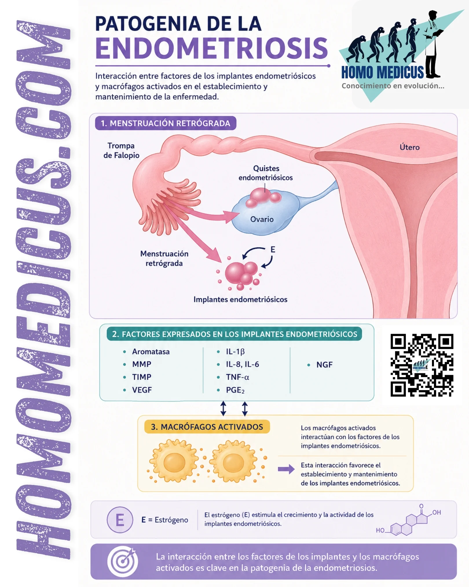 PATOGENIA DE LA ENDOMETRIOSIS PATOGENIA DE LA ENDOMETRIOSIS