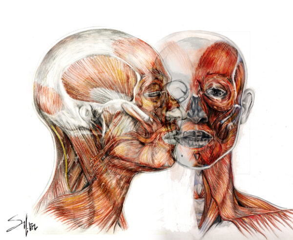 TEMARIO DE ANATOMÍA HUMANA