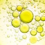 Importancia biológica de los lípidos