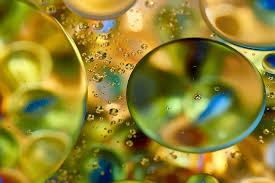 Clasificación de los lípidos