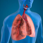 Avances en la enfermedad pulmonar obstructiva crónica