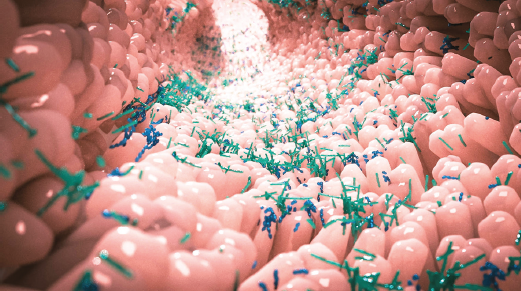 El papel del microbioma en la génesis y modulación de la enfermedad