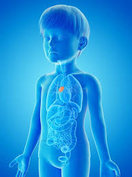 Quistes y tumores del timo en niños