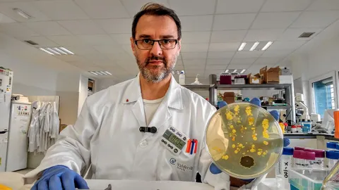 La función educativa del laboratorio de microbiología clínica