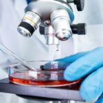 Evolución histórica de las técnicas de estudio de la microbiología clínica