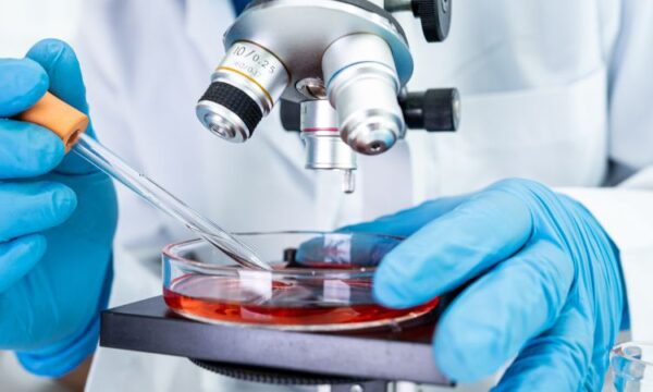 Evolución histórica de las técnicas de estudio de la microbiología clínica