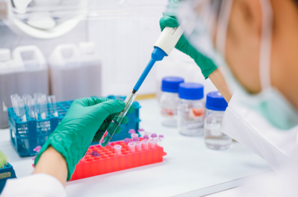 Técnicas inmunológicas y serología