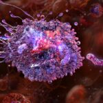 Células del sistema linfático