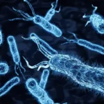 Acciones Patogénicas de las Bacterias