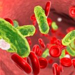 Inmunopatogénesis de las infecciones bacterianas