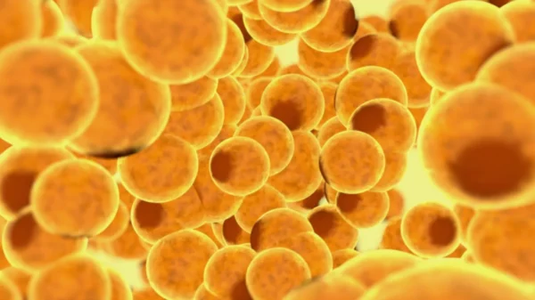 ¿Qué es el tejido adiposo?