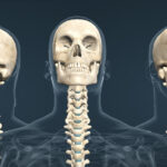 Estática y movimientos de la cabeza sobre la columna vertebral