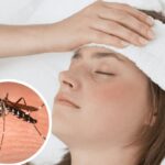 Bases para el manejo de dengue