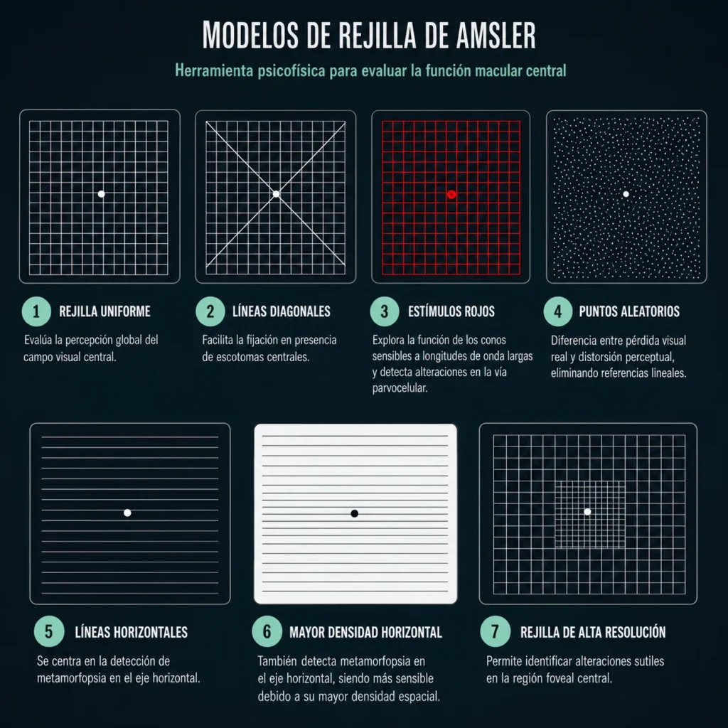 Modelos de rejilla de Amsler